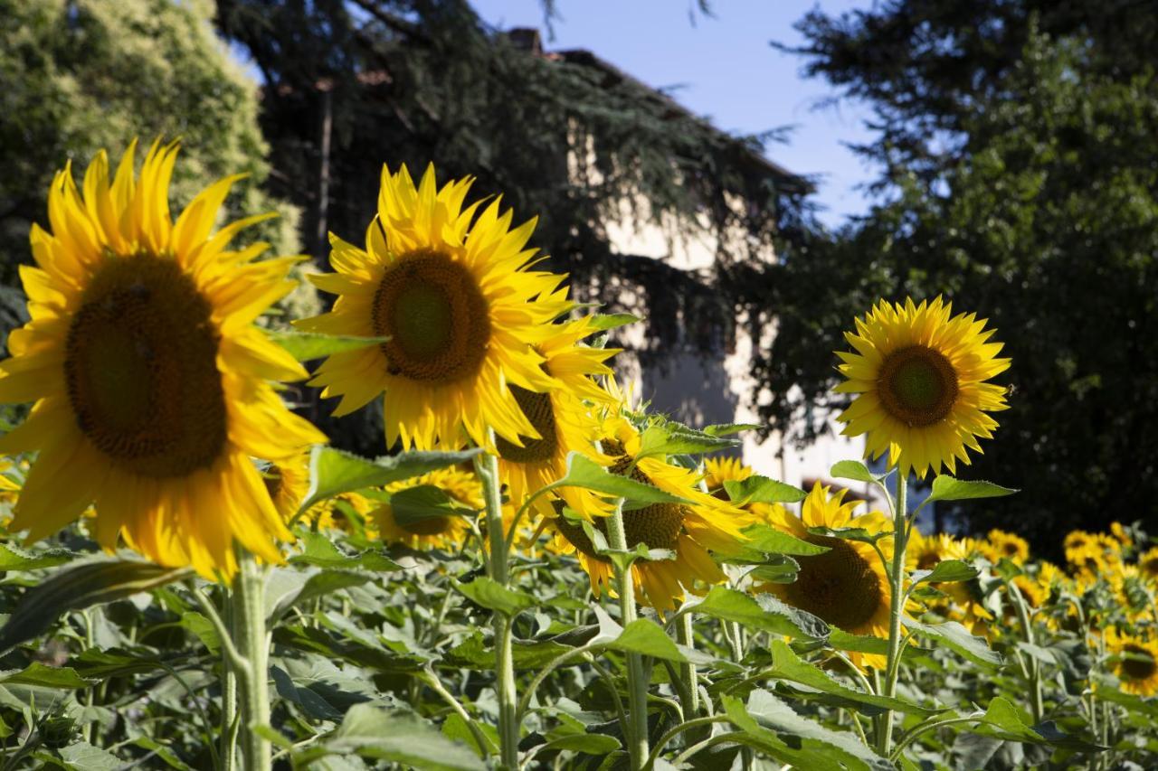Agriturismo La Topaia Borgo San Lorenzo Buitenkant foto