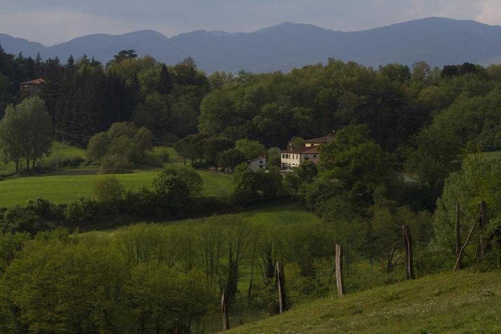 Agriturismo La Topaia Borgo San Lorenzo Buitenkant foto