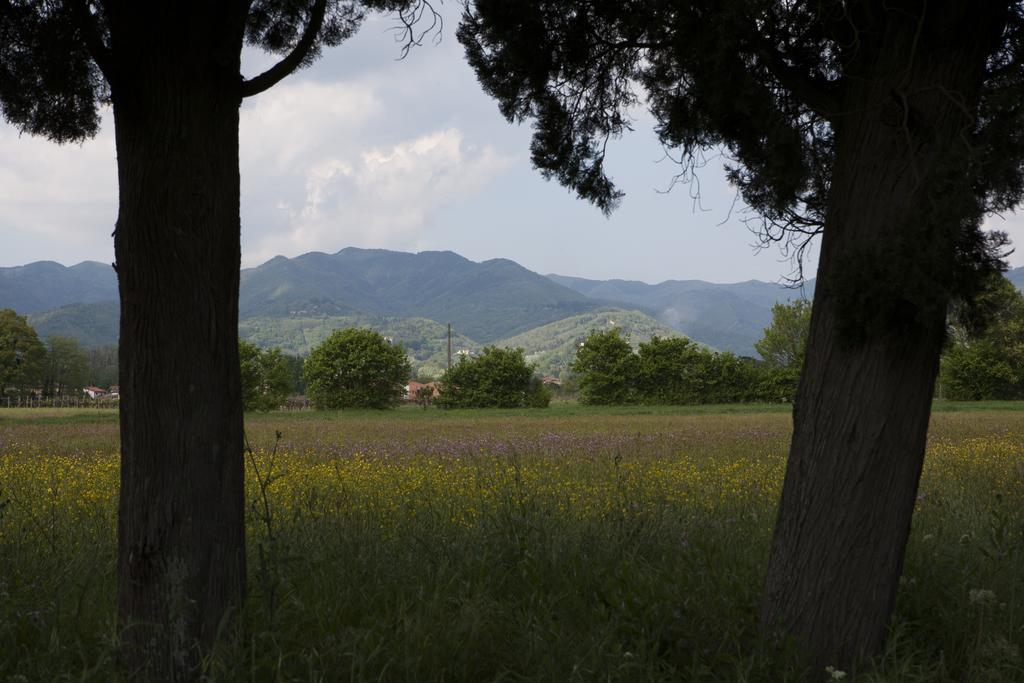 Agriturismo La Topaia Borgo San Lorenzo Buitenkant foto