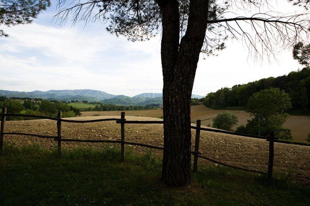 Agriturismo La Topaia Borgo San Lorenzo Buitenkant foto