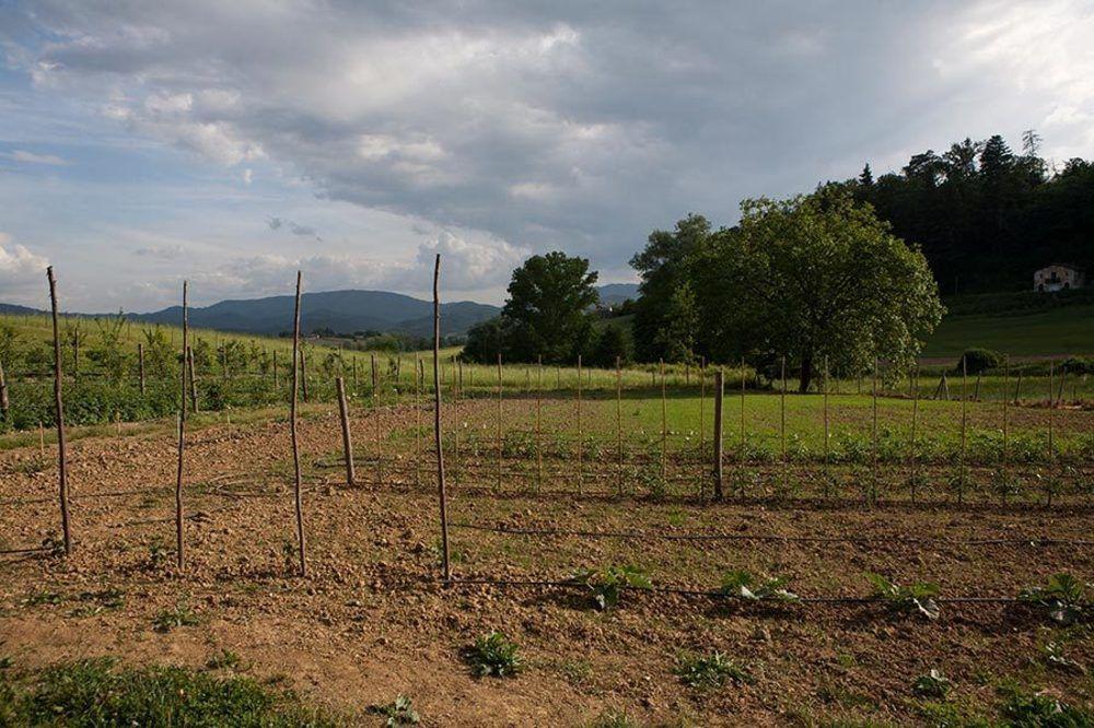 Agriturismo La Topaia Borgo San Lorenzo Buitenkant foto