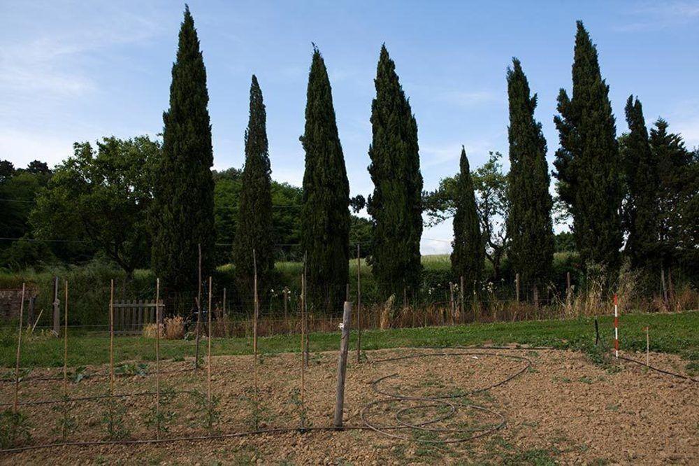 Agriturismo La Topaia Borgo San Lorenzo Buitenkant foto